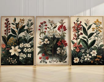 Set of Three Vintage Floral Botanical Prints | Antique Flower Illustration