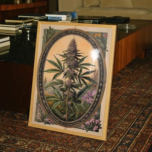 Vintage Apothecary Botanical Print – Art Nouveau Herbal Wall Art, 310gsm Luxury Paper V1 image 7
