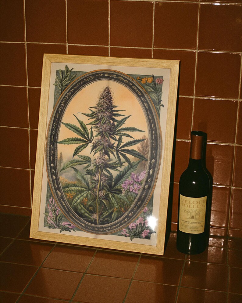 May include: A framed botanical print featuring a cannabis plant with purple buds and green leaves, set against a soft orange background. The print is in an oval frame. A bottle of red wine with a gold label is next to the frame.