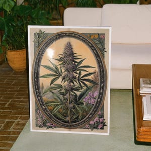 May include: A framed botanical print featuring a cannabis plant in an oval frame. The artwork showcases the plant's leaves and purple buds, set against a soft, warm background. The print is surrounded by a white border and floral accents.