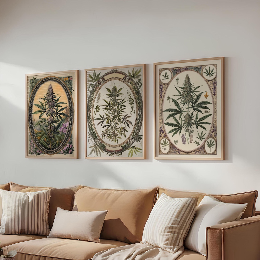 Set of Three Vintage Cannabis Botanical Prints - Antique Herbal Wall ...