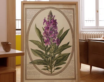 Vintage Botanical Print: Antique Victorian Flower Illustration