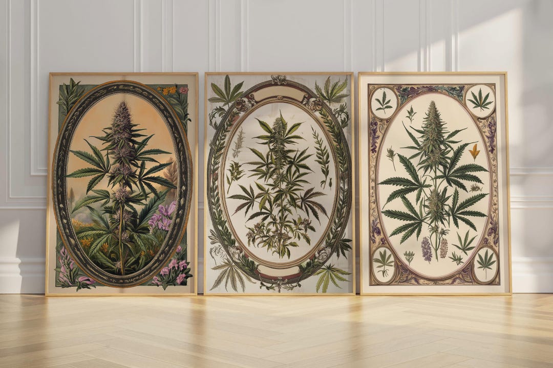 Vintage Cannabis Print, Antique Botanical Illustration, Herbal Wall Art ...