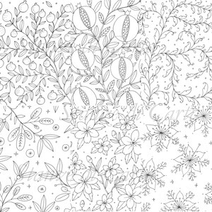 Może przedstawiać: Czarno-biała ilustracja liniowa wzoru kwiatowego z granatami, jagodami i liśćmi. Projekt jest skomplikowany i szczegółowy, idealny do kolorowania.