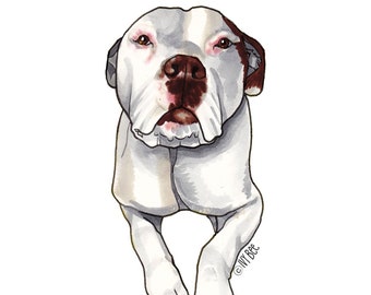 White Pitbull Vinyl Decal Sticker