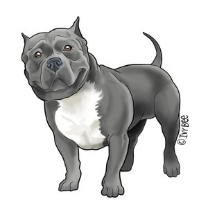 American Bully Vinyl Decal Sticker - Etsy