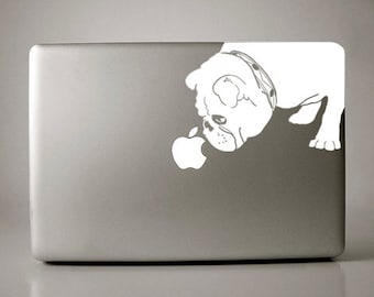 Bridget the English Bulldog Sniffs Apple Decal Macbook
