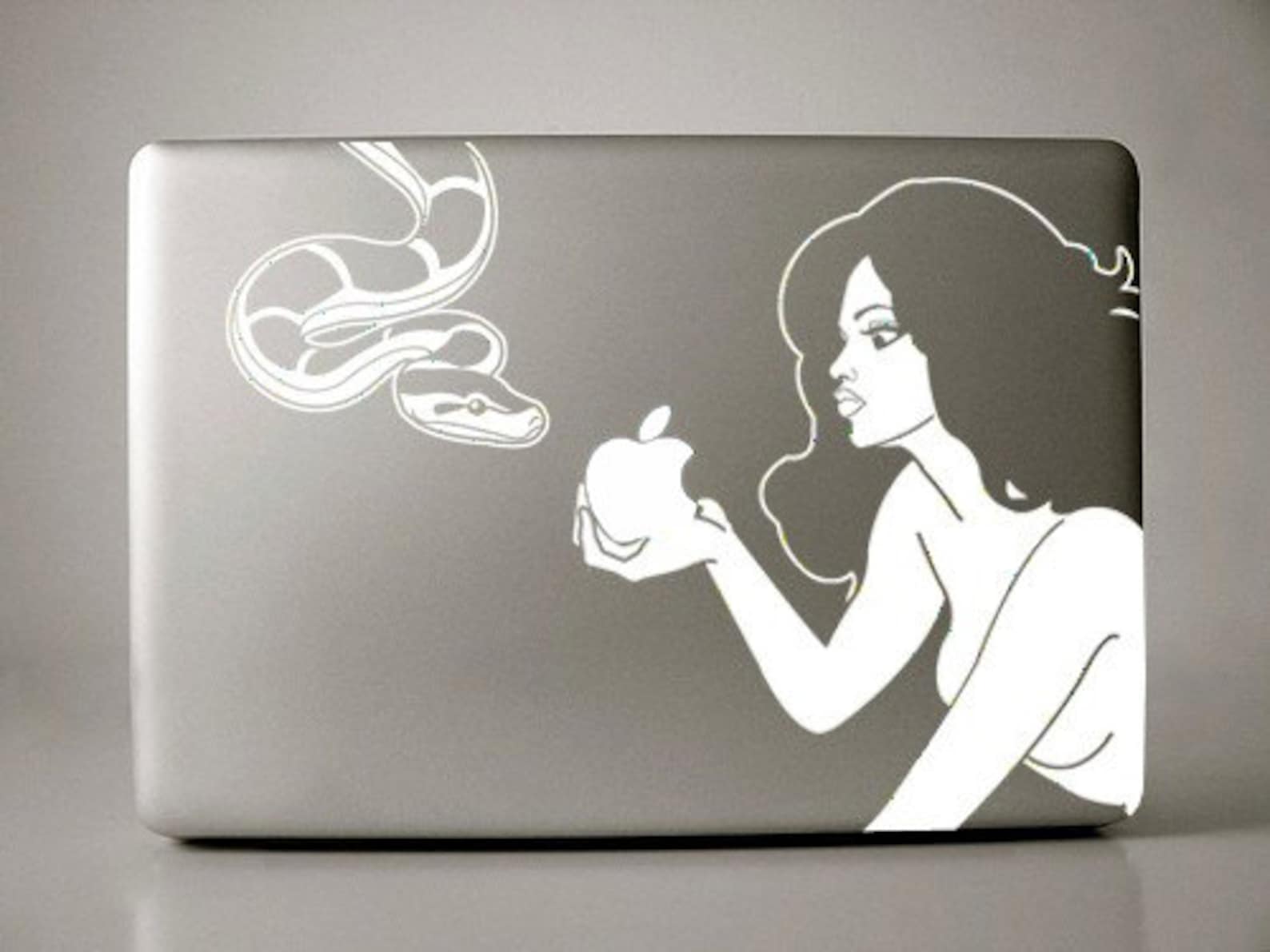 макбук про 2021 розовый. алиса на макбук. ноутбук эпл 2022. Macbook pro 11. макбук эпл.