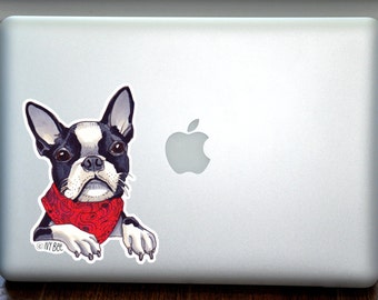 Boston Terrier Wearing Scarf Full Color Art Decal Apple Macbook Laptop