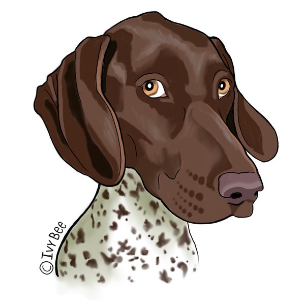 German Shorthaired Pointer Vinyl Decal Sticker