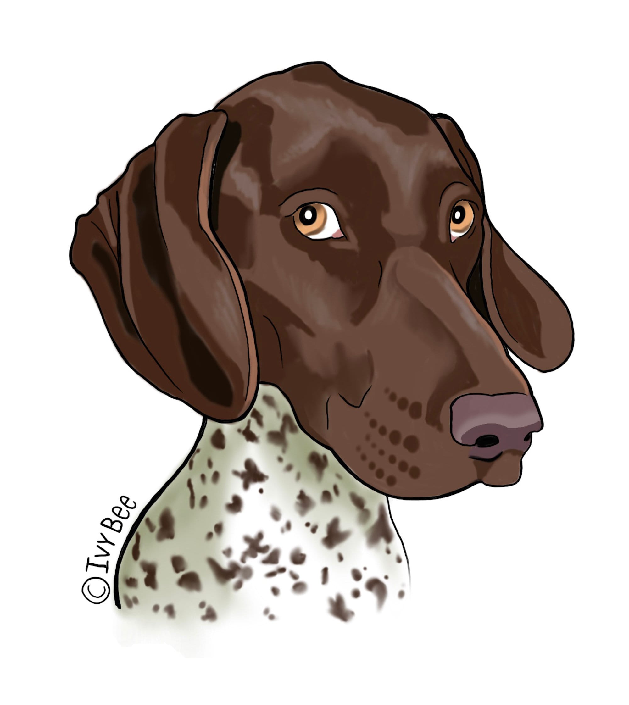German Shorthaired Pointer GSP Car Wall Vinyl Decal Stickers 