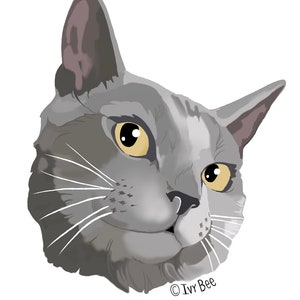 Gray Cat Vinyl Decal Sticker image 1