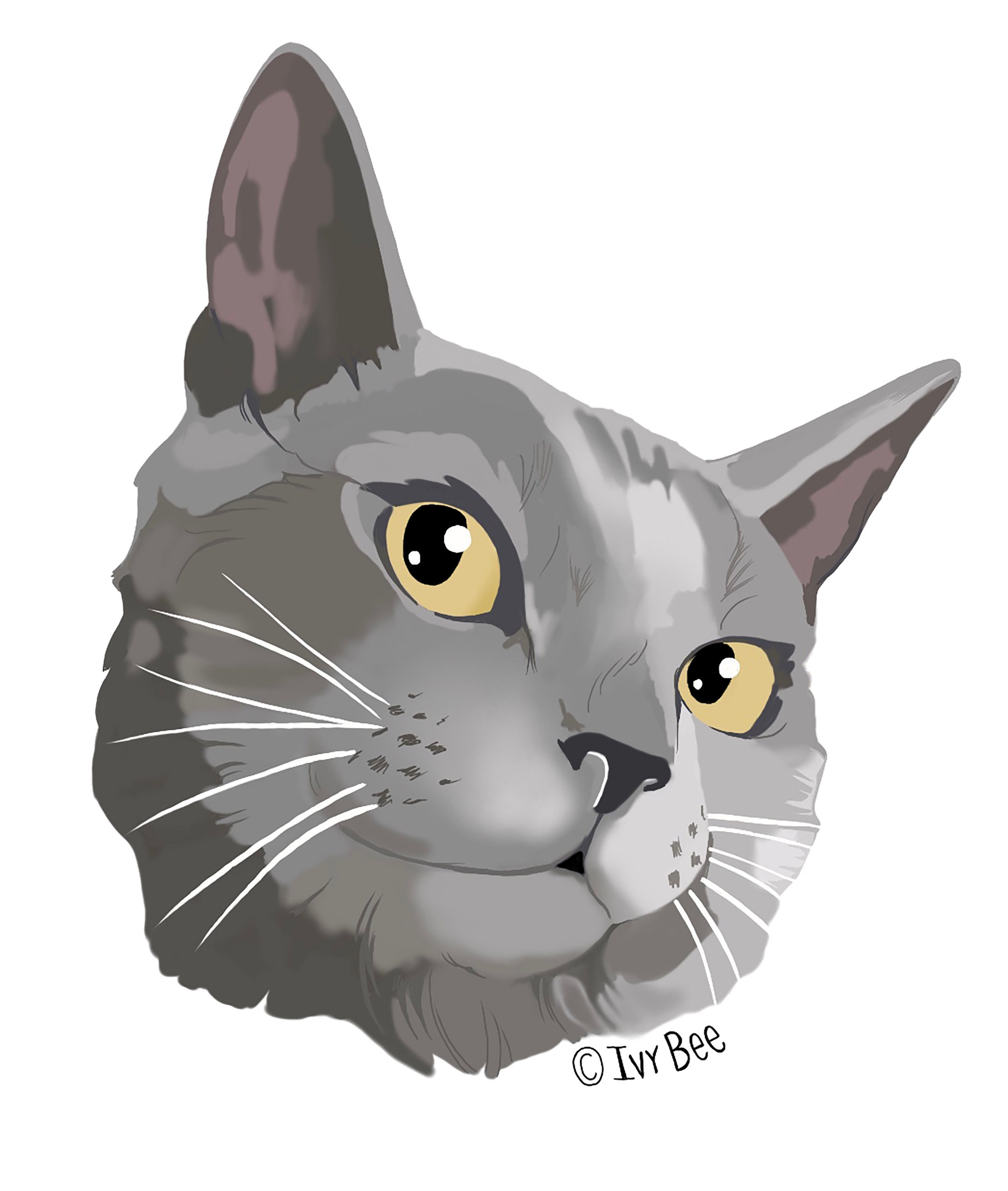 Gray Cat Vinyl Decal Sticker