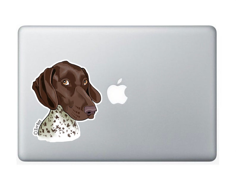 German Shorthaired Pointer Vinyl Decal Sticker image 3