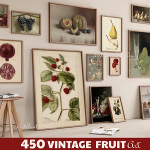 May include: A display of framed vintage fruit art prints. The prints depict illustrations of various fruits, such as grapes, pears, raspberries, and pomegranates. The color scheme includes greens, reds, and browns, with an emphasis on botanical details. The text "450 VINTAGE FRUIT Art" is at the bottom.