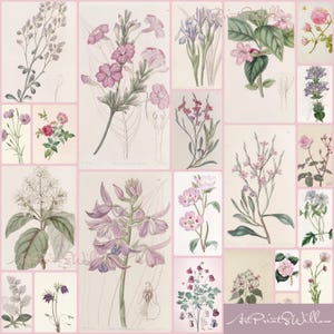 1300 Vintage Botanical Art Prints, MEGA BUNDLE Kitchen Wall Decor Gallery Set, Printable Antique Flower Wall Art, Floral Instant Download, North Prints, Kitchen Shelf Decor, North Prints Shop, French Country Decor, Farmhouse Prints
