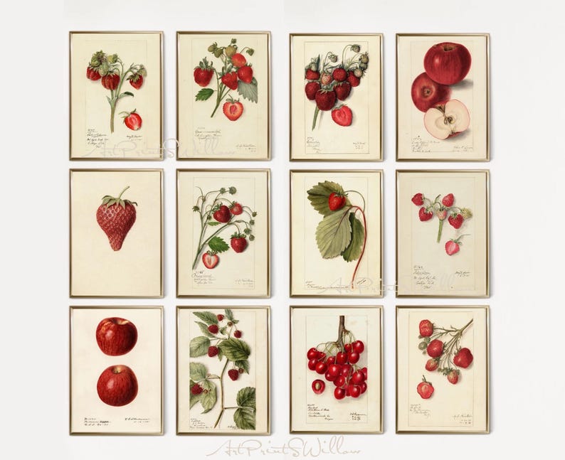 1300 Vintage Botanical Art Prints, MEGA BUNDLE Kitchen Wall Decor Gallery Set, Printable Antique Flower Wall Art, Floral Instant Download, North Prints, Kitchen Shelf Decor, North Prints Shop, French Country Decor, Farmhouse Prints