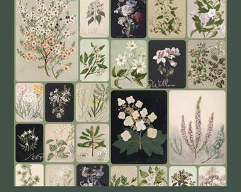 Vintage Botanical Prints Set of 1000+ Neutral Floral Gallery Wall, Country Decor, Digital Download