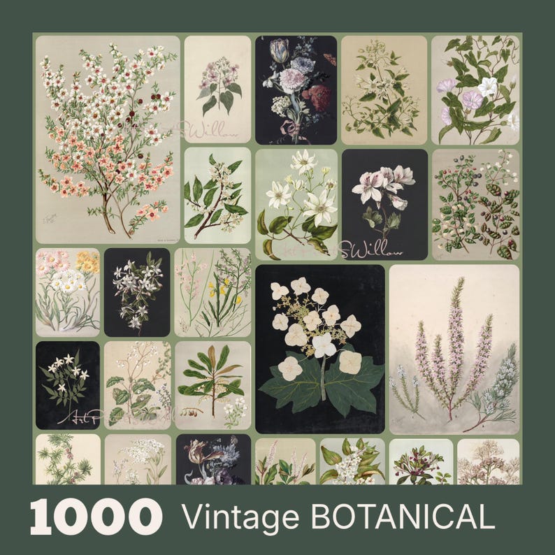 Vintage Botanical Prints Set of 1300: Neutral Floral Gallery Wall, Country Decor, Digital Download , 1300+ vintage botanical prints featuring antique floral illustrations, plant studies, and herbarium-style artwork. High-resolution digital download perfect for printable wall art, gallery wall sets, kitchen and home decor, or creative projects. Includes flowers, leaves, herbs, and vintage plant charts from 18th-20th century sources.1300 Vintage Botanical Art Prints, MEGA BUNDLE
