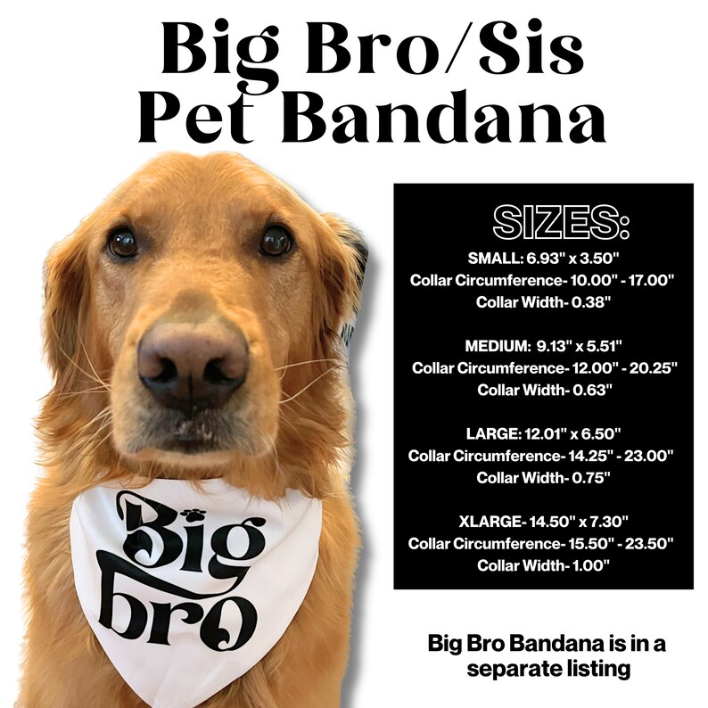 Big Sis Pet Bandana Collar, Big Sister Dog, Baby Announcement, Birth announcement, Maternity photoshoot, Dog bandana Baby Announcement image 2