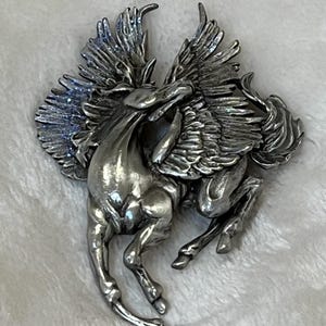 Pegasus in flight
