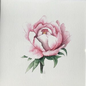 Lot de 6 cartes de vœux avec fleurs à l’aquarelle