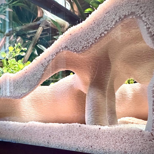 Corner Mangrove Root Hideout – Aquarium & Terrarium Decor