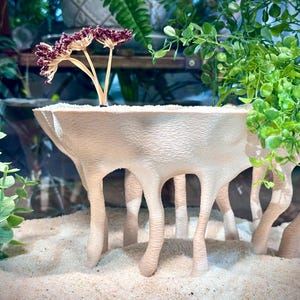 May include: A beige, textured planter with a unique, leg-like design, holding greenery and a small, purple-flowered plant. The planter sits on a bed of sand, with other plants in the background.