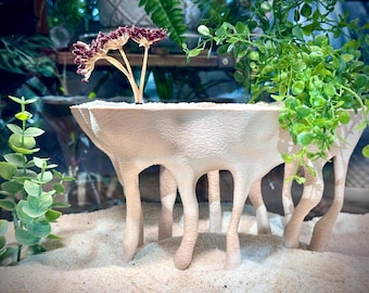 Mangrove-Style Raised Roots — a freestanding decor piece with an integrated planter for aquariums and terrariums.
