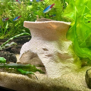 3D-Printed Dome Cave Hideout – Versatile Aquarium & Shrimp Shelter