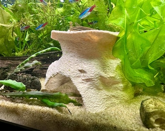 3D-Printed Dome Cave Hideout – Versatile Aquarium & Shrimp Shelter