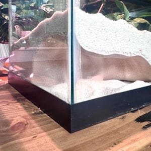 Shellform Corner Cave Hideout  – Decorative Shelter for Fish & Reptiles