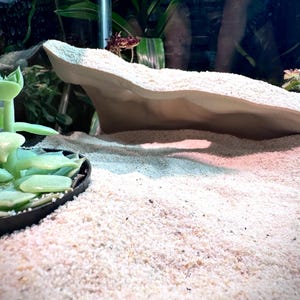 Overhang Hideout – Aquarium & Terrarium Decor