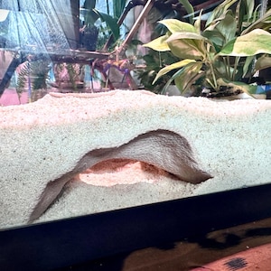 Aquarium  Terrarium Cave Hideout – Decorative Shelter for Fish & Reptiles