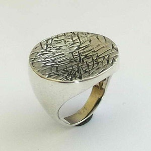 Può includere: Un anello d'argento con una parte superiore ovale testurizzata. L'anello è in metallo e ha una finitura liscia e lucida.