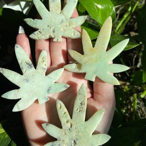 Puede incluir: Cuatro piedras pulidas en forma de hoja de marihuana, de color verde y blanco. Las piedras están en la palma de una mano.