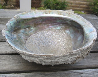 Vintage Abalone Shell Deep Bowl Coastal Decor