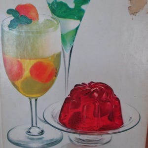 Vintage 1974 The New Joys of Jell-O Recipe Book