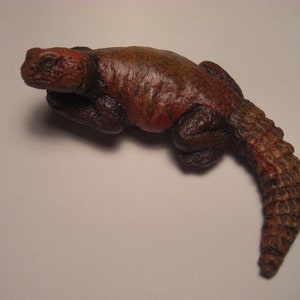 Moroccan Uromastyx Magnet