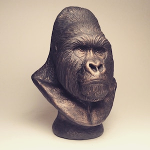 Mountain Gorilla Silverback bust sculpture statue