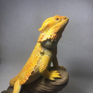 Bearded Dragon Sculpture "Watching Over"  Large realistic yellow orange