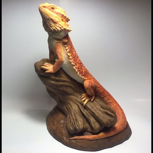 Bearded Dragon Sculpture "Watching Over"  Large realistic red orange version