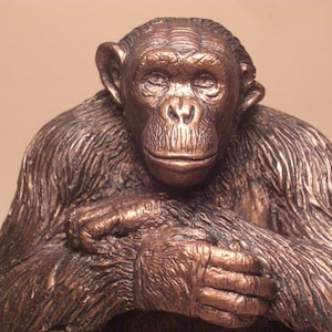 Chimpanzee Negra Sculpture  Chimpanzee Sanctuary Northwest