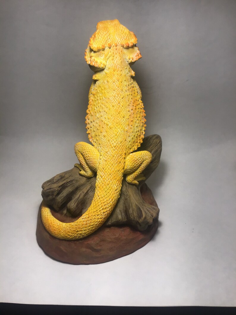 Buy Bearded Dragon Sculpture watching Over Large Online in India Etsy