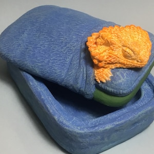 Bearded Dragon box or urn Nighty Night blue and yellow orange