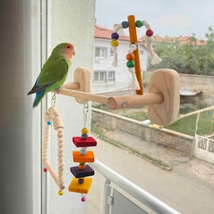 Pode incluir: Um papagaio verde e azul empoleirado em um poleiro de madeira para pássaros com brinquedos pendurados. O poleiro é montado em uma moldura de janela. Os brinquedos incluem contas de madeira e blocos coloridos. O fundo mostra uma área residencial.