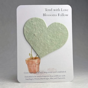 Custom, Personalized Flower Pot Favor - Recycled Card 3.5" x 4.875" With Seed Paper Heart Shape - Choose Paper Color and Message - Set of 8