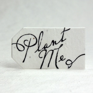 Plant Me Tiny Tags 2.25" long by 1.25" tall Wildflower Seed handmade paper for Weddings, events or gifts Set of 50