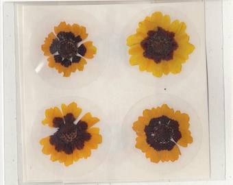 Sunflower Stickers (coreopsis) - pack of 12  Flowers measure ~ 1 inch, sticker measures 1.5 inch