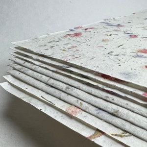 Pink Petal 17s Seed Paper Heavy weight (80lb.) 8.5" x 11" handmade card stock recycled cotton fiber